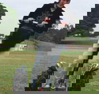 Segway Tours Australia - Accommodation Southport