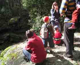 Boronia Tours - Accommodation Southport 2