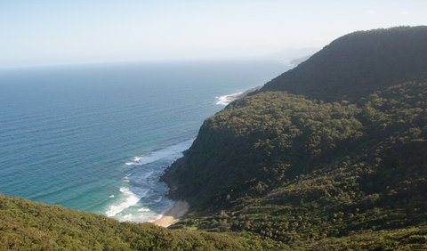 Palm Jungle Loop Track - Accommodation Southport 1