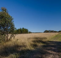 Scheyville horse riding trails - Southport Accommodation
