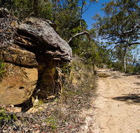 Canoelands Ridge walking track - Accommodation Southport
