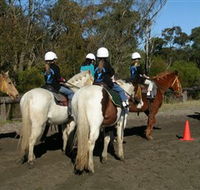 Darkes Forest Riding Ranch - Accommodation Southport
