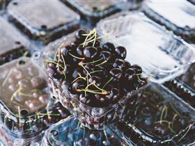 Adelaide Farmers' Market Showground - Accommodation Southport 1