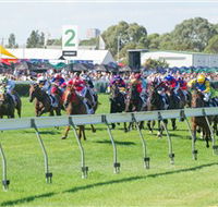 Morphettville Racecourse - Southport Accommodation