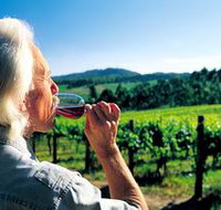 Ashton Hills Vineyard - Southport Accommodation