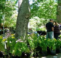 The Stirling Market - Accommodation Southport