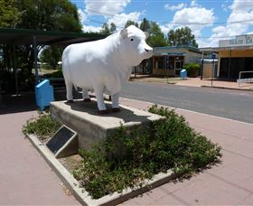 Aramac - The White Bull - Southport Accommodation 2