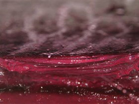 Adelaide Winemakers - Accommodation Southport 2