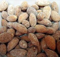 Almondco Almond Hut - Accommodation Southport