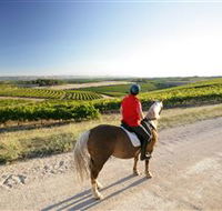 Kidman Trail - Southport Accommodation
