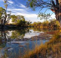 Murray River National Park - Southport Accommodation