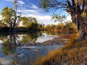 Murray River National Park - Southport Accommodation 0