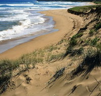 Newland Head Conservation Park - Accommodation Southport