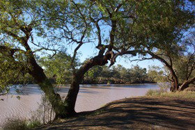 Charleville - Bakers Bend Warrego River Fishing Spot - Accommodation Southport 1