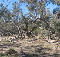 Mirri Mirru Yurun - Accommodation Southport