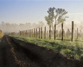 Andrew Peace Wines - Southport Accommodation 5