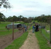 Avenue Emus - Southport Accommodation
