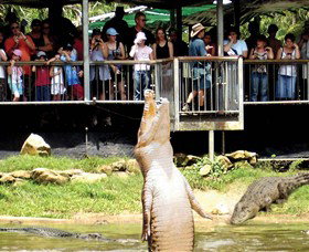 Knuckey Lagoon NT Accommodation Southport