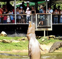 Crocodylus Park - Accommodation Southport