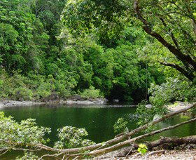 Broadwater, Abergowrie State Forest - Southport Accommodation 0