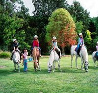 Limestone Coast Horseriding - Southport Accommodation