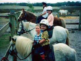 Limestone Coast Horseriding - Southport Accommodation 1