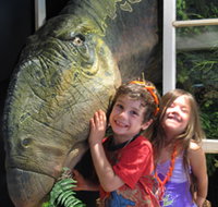 Australian Opal Centre - Accommodation Southport