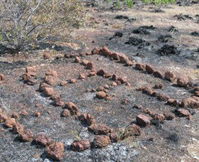 Wurrwurrwuy (Garanhan) Macassan Beach Interpretive Walk - Southport Accommodation 3