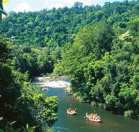 Tully Gorge National Park - Southport Accommodation