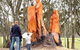 Father Woods Park - thumb 0