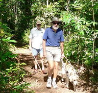 Wongabel State Forest
