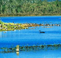 Hasties Swamp National Park