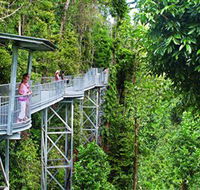 Mamu Tropical Skywalk - Southport Accommodation