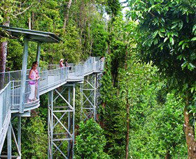 Mamu Tropical Skywalk - Southport Accommodation 0