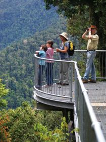 Mamu Tropical Skywalk - Southport Accommodation 2