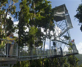 Mamu Tropical Skywalk - Southport Accommodation 1