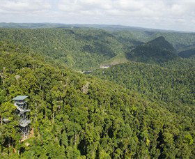 Mamu Tropical Skywalk - Southport Accommodation 3