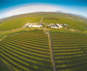 Golden Drop Winery - Southport Accommodation 0