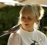 Simply Tomatoes - Southport Accommodation