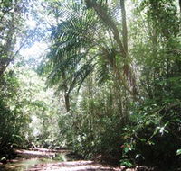 Mount Lewis National Park - Southport Accommodation