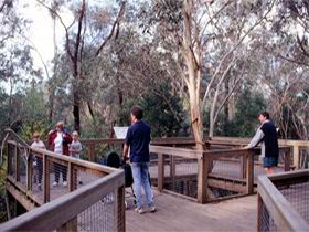 Valley Lake Conservation Park - Southport Accommodation 1