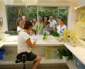 Australian Butterfly Sanctuary - Southport Accommodation 3