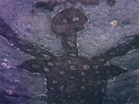  Accommodation Southport