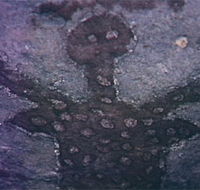 Quinkan Reserves Ancient Rock Art - Accommodation Southport