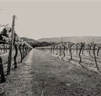 Halls Gap Estate - Southport Accommodation
