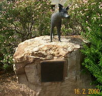 Dingo Statue - Accommodation Southport