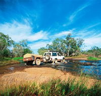 Rinyirru Lakefield National Park CYPAL - Accommodation Southport