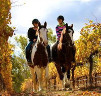 Billabong Ranch - Accommodation Southport