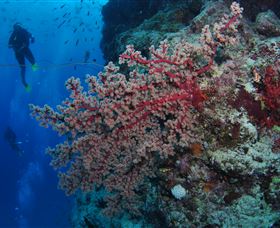  Accommodation Southport