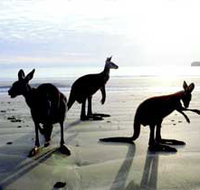 Hibiscus Coast - Accommodation Southport